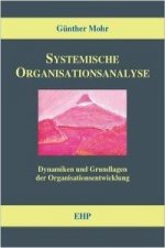 Systemische Organisationsanalyse