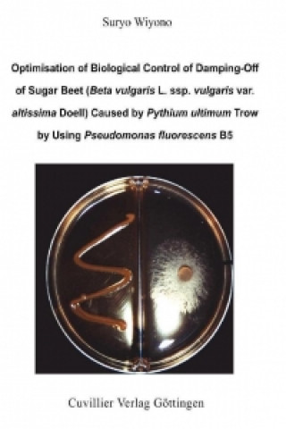 Optimisation of Biological Control of Damping-Off of Sugar Beet (Beta vulgaris L. ssp. vulgaris var. altissima Doell) Caused by Pythium ultimum Trow b