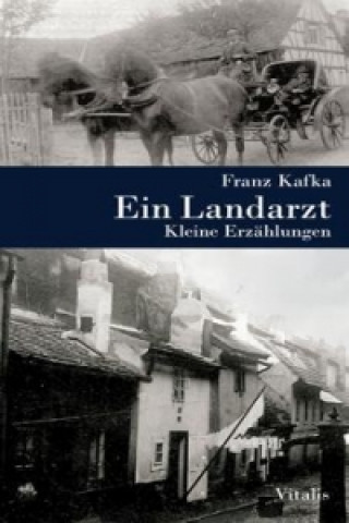 Ein Landarzt