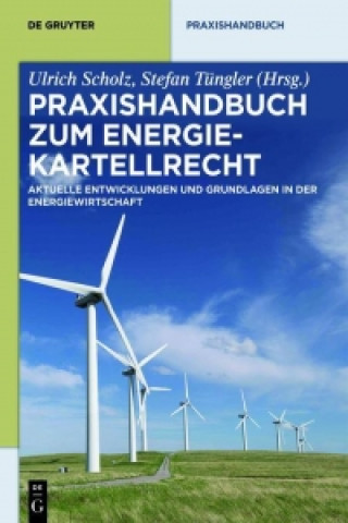 Praxishandbuch Energiekartellrecht