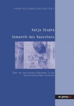 Semantik Des Rauschens