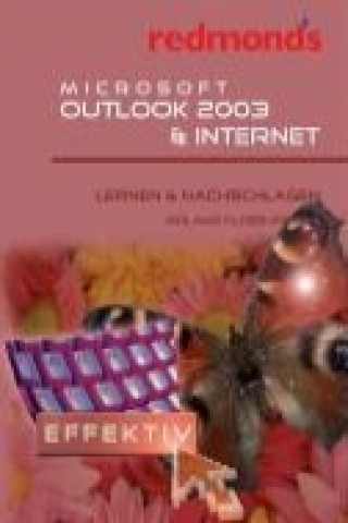 Microsoft Outlook 2003 & Internet