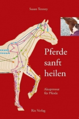 Pferde sanft heilen