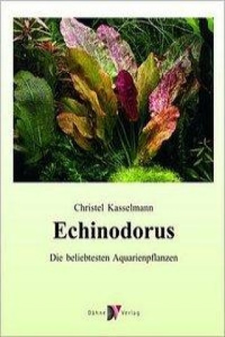 Echinodorus