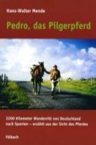 Pedro, das Pilgerpferd