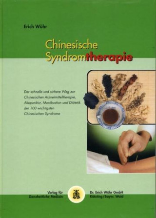 Chinesische Syndromtherapie