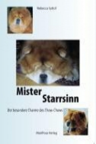 Mister Starrsinn