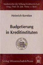 Budgetierung in Kreditinstituten
