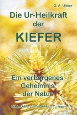 Die Ur-Heilkraft der Kiefer