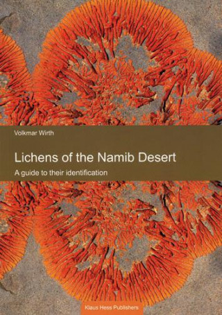 Lichens of the Namib Desert