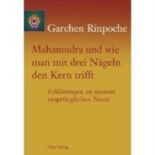 Mahamudra und wie man mit drei Nägeln den Kern trifft