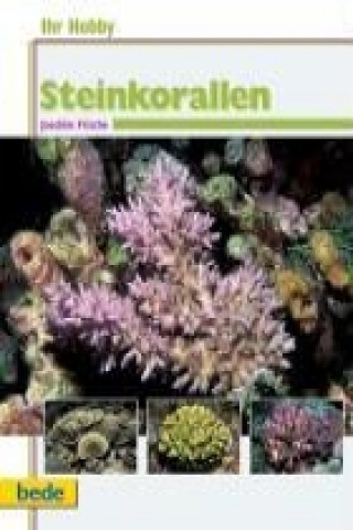 Ihr Hobby Steinkorallen im Meerwasseraquarium