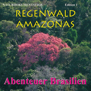 Regenwald Amazonas 1. Abenteuer Brasilien