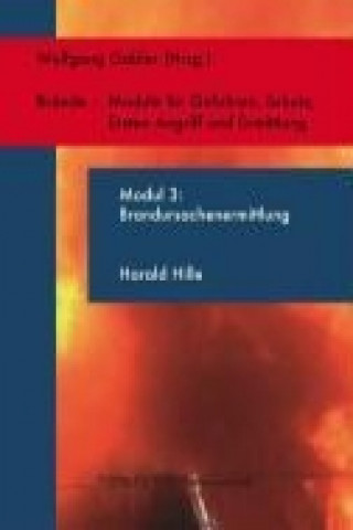 Hille, H: Modul 3 