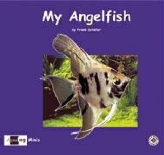 My Angelfish