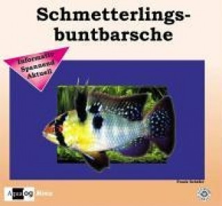 Schmetterlingsbuntbarsche