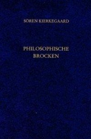 Philosophische Brocken. Gesammelte Werke und Tagebücher. 10. Abt. Bd. 6