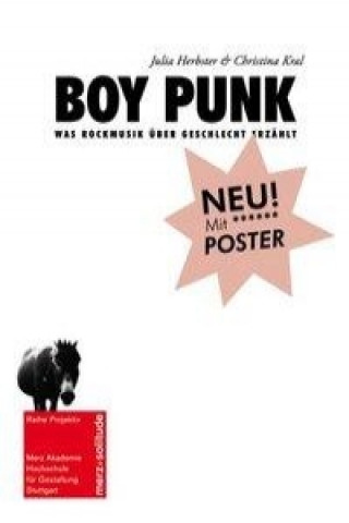 Boy Punk