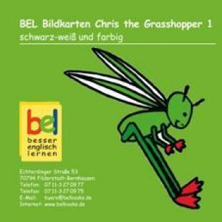 Learning English with Chris the Grashopper Bildkarten CD-ROM 1