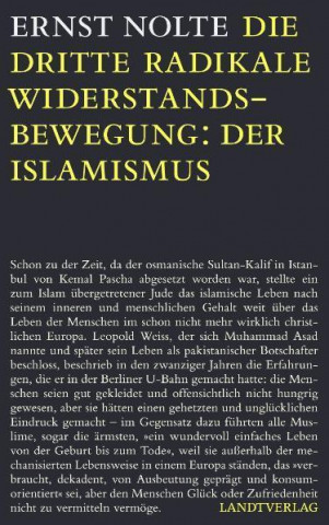 Die dritte radikale Widerstandsbewegung: der Islamismus