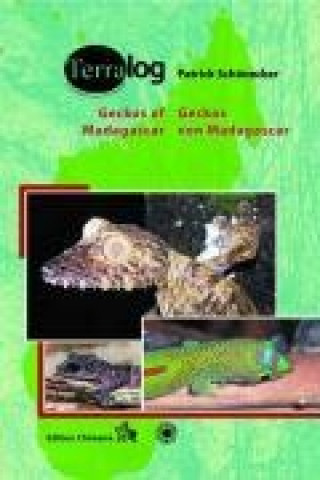 Geckos Madagaskars der Seychellen, Komoren und Maskarenen / Geckos of Madagascar, the Seychelles, Comoros and Mascarene Islands