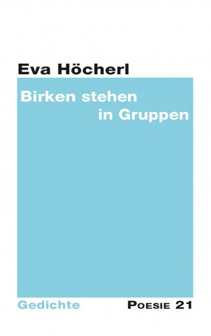 Birken stehen in Gruppen