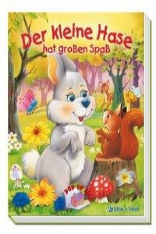Pop-up-Buch Der kleine Hase