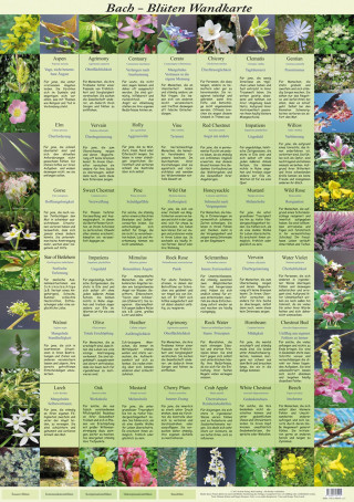 Bach Blüten Wandkarte
