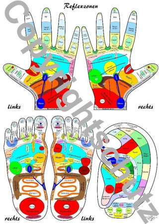 Reflexzonenübersicht - Füße, Hände und Ohr
