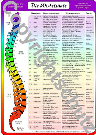Wirbelsäulenzonen Übersichtskarte