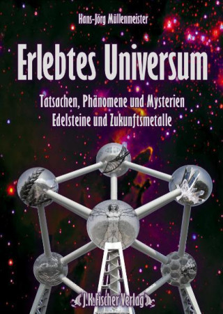 Erlebtes Universum