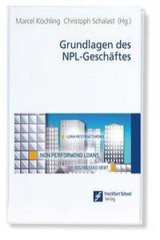 Grundlagen des NPL-Geschäftes