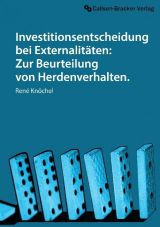 Investitionsentscheidung bei Externalitäten: Zur Beurteilung von Herdenverhalten.