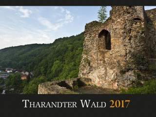 Tharandter Wald 2017