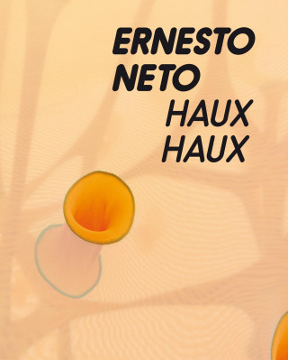 ERNESTO NETO