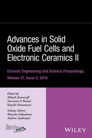 Advances in Solid Oxide Fuel Cells and Electronic Ceramics II - Ceramic Engineering and Science Proceedings Volume 37, Issue 3