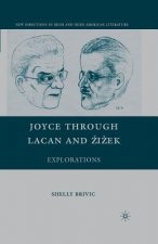 Joyce through Lacan and Zizek