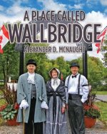 Place Called Wallbridge