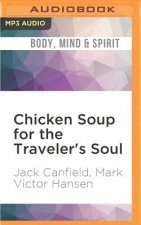 Chicken Soup for the Traveler's Soul: Stories of Adventure, Inspiration and Insight to Celebrate the Spirit of Travel