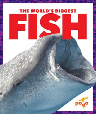 The World's Biggest Fish