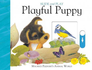 Slide & Play: Playful Puppy