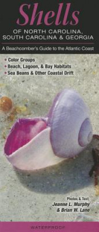 Shells of North Carolina, South Carolina & Georgia: A Beachcomber's Guide to the Atlantic Coast