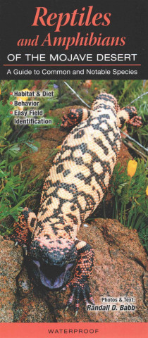 Reptiles and Amphibians of the Mojave Desert: A Guide to Common & Notable Species