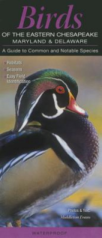 Birds of the Eastern Chesapeake: Maryland & Delaware: A Guide to Common & Notable Species