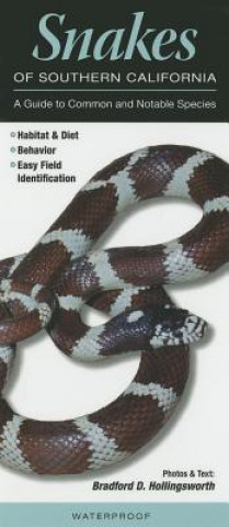Snakes of Southern California: A Guide to Common & Notable Species