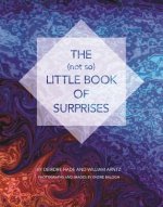 (not so) Little Book of Surprises