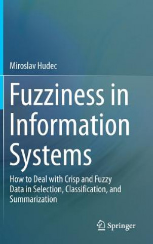 Fuzziness in Information Systems