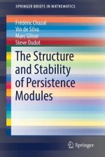Structure and Stability of Persistence Modules