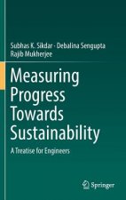 Measuring Progress Towards Sustainability