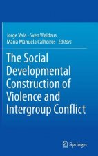 Social Developmental Construction of Violence and Intergroup Conflict